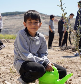 Taşınan her zeytin ağacı için yeni bir fidan: Milas’ta 4 bin fidan toprakla buluştu