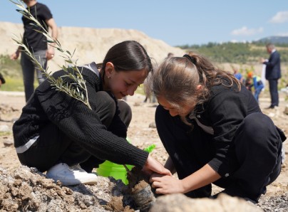 Taşınan her zeytin ağacı için yeni bir fidan: Milas’ta 4 bin fidan toprakla buluştu