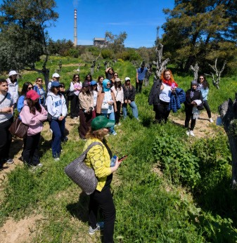 Ziraat fakültesi öğrencileri taşınan zeytinleri yerinde gördü