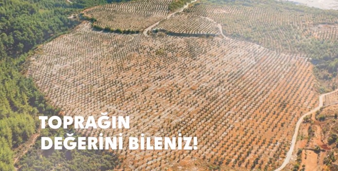 Kapatılan Maden Sahalarımızı Fidan ve Zeytin Ağaçları Ekerek Doğaya Kazandırıyoruz – YK Enerji